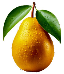 Pojedyńczy owoc mango zroszony kroplami wody na przezroczystym tle. - obrazy, fototapety, plakaty