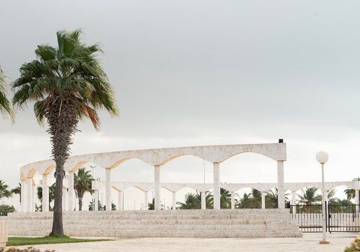 alwajha albhreea for yanbu city in saudi Arabia