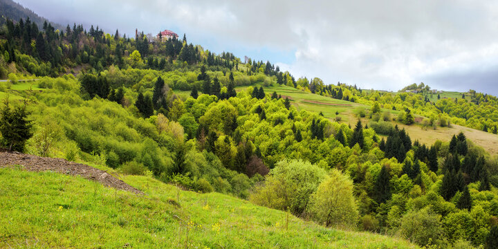 carpathian countryside landscape with grassy meadows in spring. scenery with forested hills beneath an overcast sky