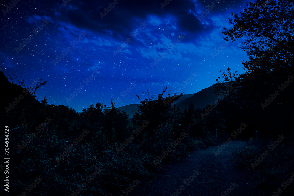Wall mural mystical landscape of full moon rising over tall green meadow with trees at forest