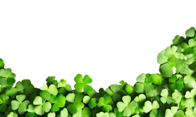 Fresh green clover leaveson isolted on a transparent background, Patrick's Day concept, Holiday symbol, vector decorative elements template, frame, Spring concept, Earth day.