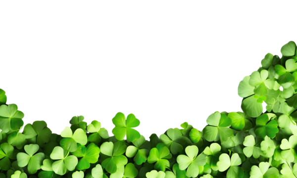 Fresh green clover leaveson isolted on a transparent background, Patrick's Day concept, Holiday symbol, vector decorative elements template, frame, Spring concept, Earth day.
