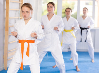 Fototapeta na wymiar Young women athletes starting position and studying repeating sequence of punches and painful techniques in karate kata technique. Oriental martial arts, training and obtaining black belt