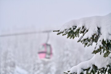 snow covered pine tree with a pink vintage ski lift in the background 