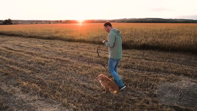 Owner lets trained cocker spaniel dog to free-roam in dry field lit by back sunset light man active small red dog in country park man with cute dedicated dog in wild park on vacation slow motion