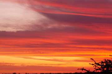 Pinceladas de cielo en los humedales de América del sur, Santa Fe, Argentina.