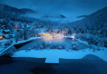 Aerial view of illuminated houses in fairy village in snow, forest, Jasna lake, street lights at...