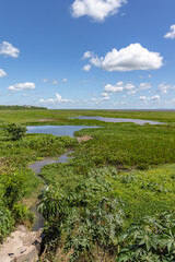 Fototapeta na wymiar paisagem natural na cidade de Puerto Suarez, Bolívia, divisa com Mato Grosso do Sul, Brasil