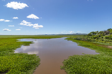 paisagem natural na cidade de Puerto Suarez, Bolívia, divisa com Mato Grosso do Sul, Brasil