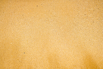 Yellow sandy background.