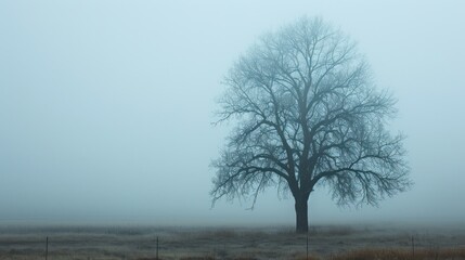  a tree in a foggy field with a fence in the foreground and a wire fence in the foreground.