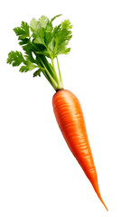 Carrot single without leafs. Isolated on transparent background.  PNG