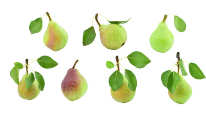 Set of ripe pear fruits with leaves isolated on transparent background. Clapps Favourite pear trees.