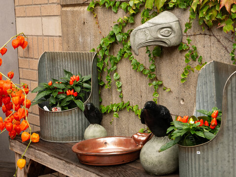 Garden in Fairhaven; Bellingham, Washington