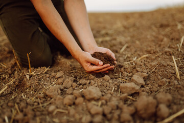 Close-up of a woman farmer's hands with black soil in an agricultural field. A woman agronomist holds the soil, checks its quality before sowing. Ecology, gardening concept.