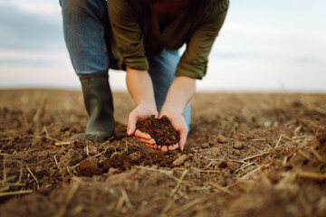 Close-up of a woman farmer's hands with black soil in an agricultural field. A woman agronomist...