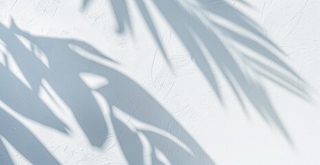 Palm leaves natural shadow overlay isolated on white textured wall. Background for product presentation, backdrop and mockup