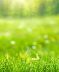 Beautiful blurred green nature background with green meadow in foreground, idyllic area for recreation, fresh springtime or summertime concept with copy space