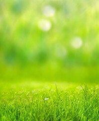 Fototapeta premium Beautiful blurred green nature background with green meadow in foreground, idyllic area for recreation, fresh springtime or summertime concept with copy space