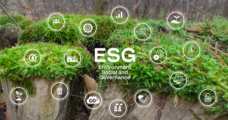 ESG concept icon for business and organization, Environment, Social, Governance and sustainability...