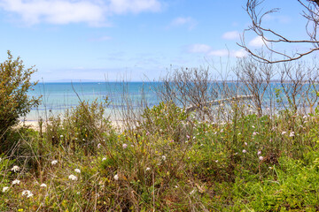 beach foreshore and sea off tourism destination of Queenscliff