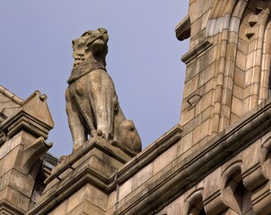 Lion Statue Facade Gargoyle at the London Natural History Museum