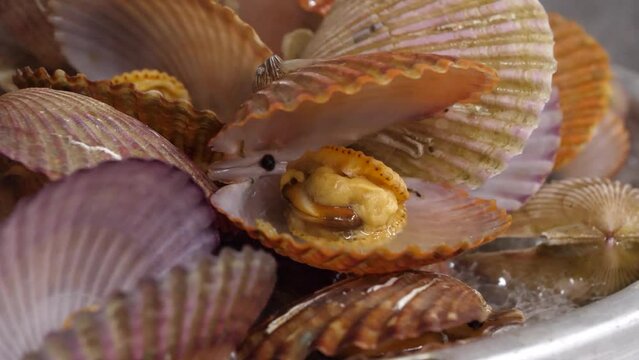 찜기에서 보글보글 끓으며 입이 벌어진 홍가리비