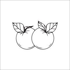 vector illustration of two oranges outline