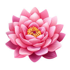 lotus flower isolated, water lily, transparent background, pink lotus, isolated cutout object