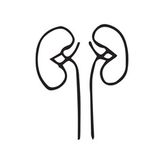 kidneys. Doodle. medical icon. the icon. on a white background. medical equipment. telephone. doctor. to heal.