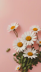  spring chamomile flowers pink, vertical background image for cellphone, mobile phone, ios, android instagram