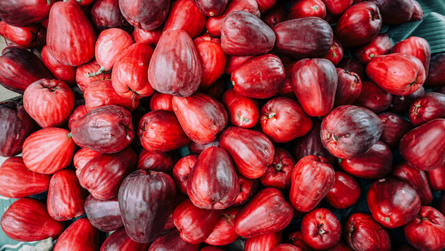 Fresh red Jamaican guava fruit that has just been harvested
