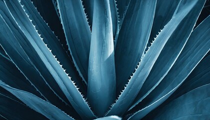 Close up of plant. - obrazy, fototapety, plakaty