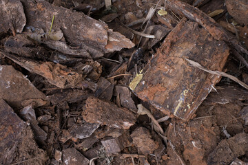 Decorative bark for gardening. Mulch for conserving moisture of ground. Close up. Shallow depth of field