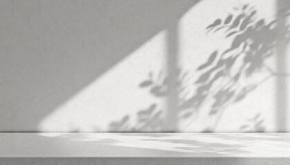 White empty room with plants shadow texture pattern cement wall background. 