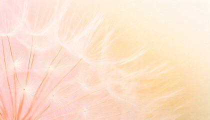 Pastel color background with dandelion.