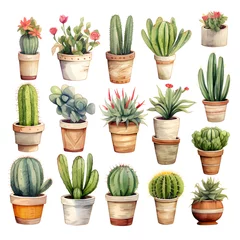 Poster Cactus en pot Watercolor Cactus port bundle 