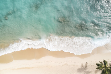 Aerial view of ocean and beach on tropical island. Summer vacation holiday background. White sand beaches and palm trees. Seascape.