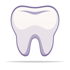 Single healthy tooth vector isolated illustration
