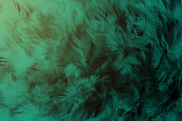 Beautiful dark green viridian vintage color trends feather texture background with light