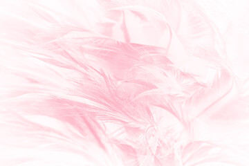 Beautiful soft pink feather pattern texture background - 704735103