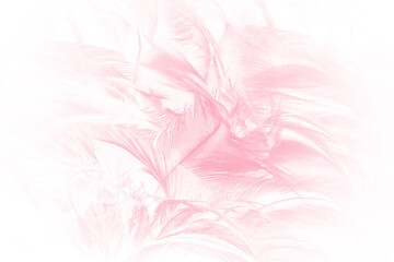 Beautiful soft pink feather pattern texture background - 704735117