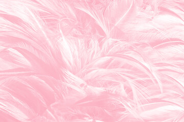 Beautiful soft pink feather pattern texture background - 704735125