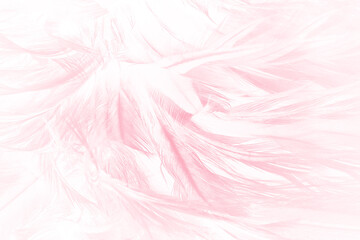  Beautiful soft pink feather pattern texture background - 704735132