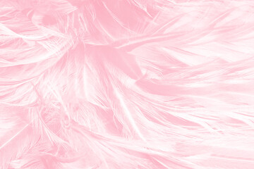 Beautiful soft pink feather pattern texture background