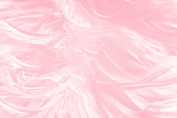 Beautiful soft pink feather pattern texture background - 704735146