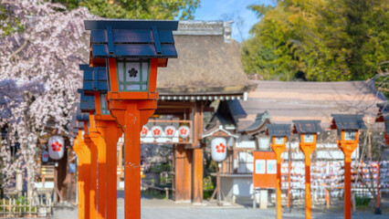 Hirano-jinja is the site of a cherry blossom festival annually since 985 during the reign of...