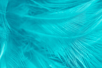 Beautiful green turquoise vintage color trends feather pattern texture background