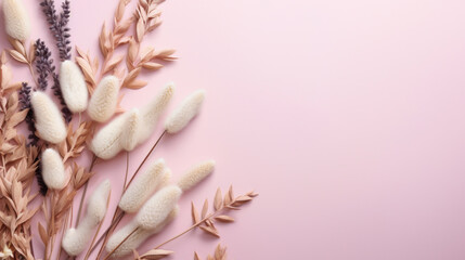 A soft pastel pink background complemented by a frame of natural white and beige dried flowers and plants.