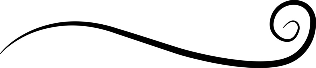 Hand drawn curly swiss, swashes, swoop. Calligraphy swirl. Highlight text element Vector isolated on transparent background. Underline typography tail shape. Brush drawn thick curved smear.